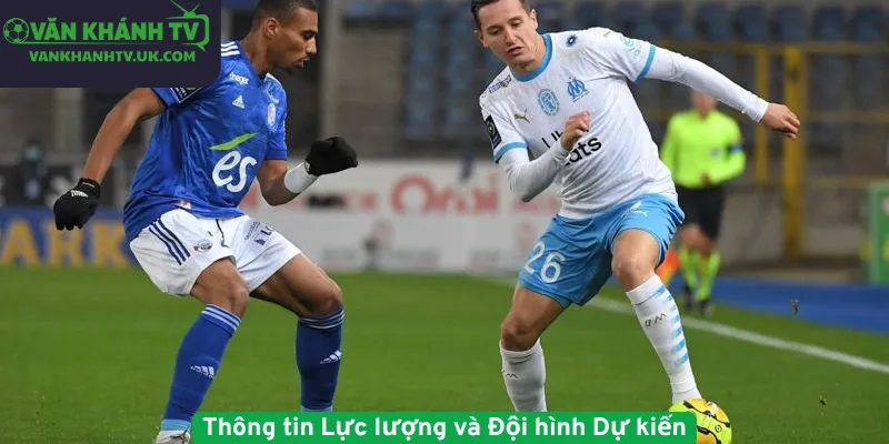 Thông tin Lực lượng và Đội hình Dự kiến
