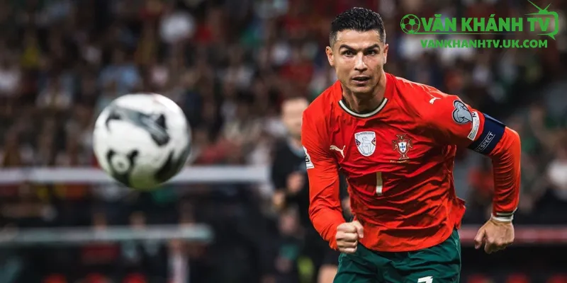Chỉ số sức mạnh & kèo trận đấu Bồ Đào Nha vs Hungary