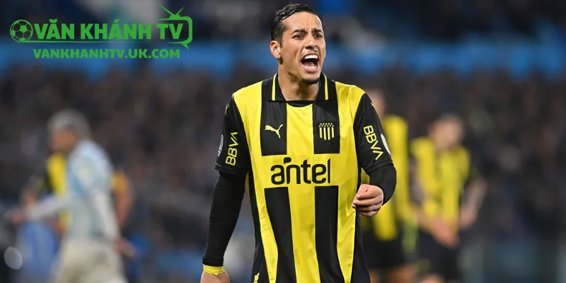 Tổng quan trước trận Liverpool vs Penarol